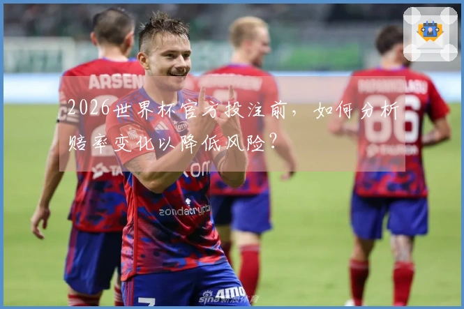 2026世界杯官方投注前，如何分析赔率变化以降低风险？