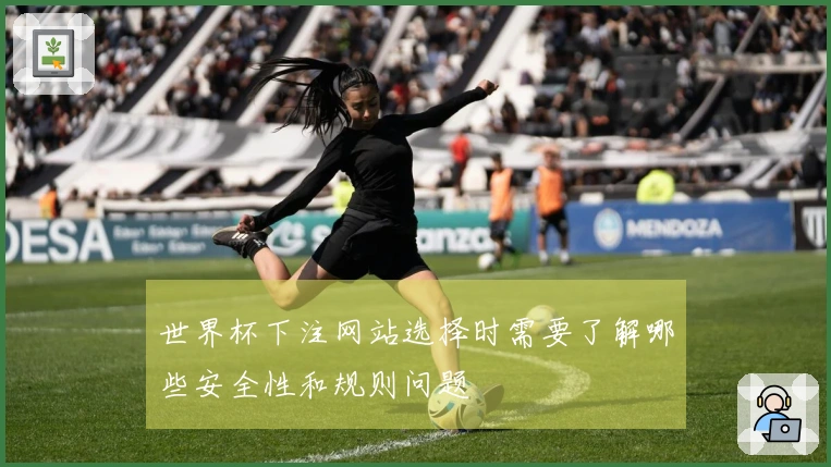 世界杯下注网站选择时需要了解哪些安全性和规则问题