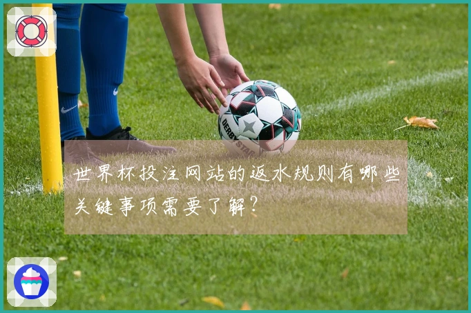 世界杯投注网站的返水规则有哪些关键事项需要了解？